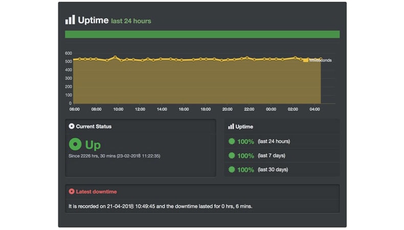 domainracer server uptime